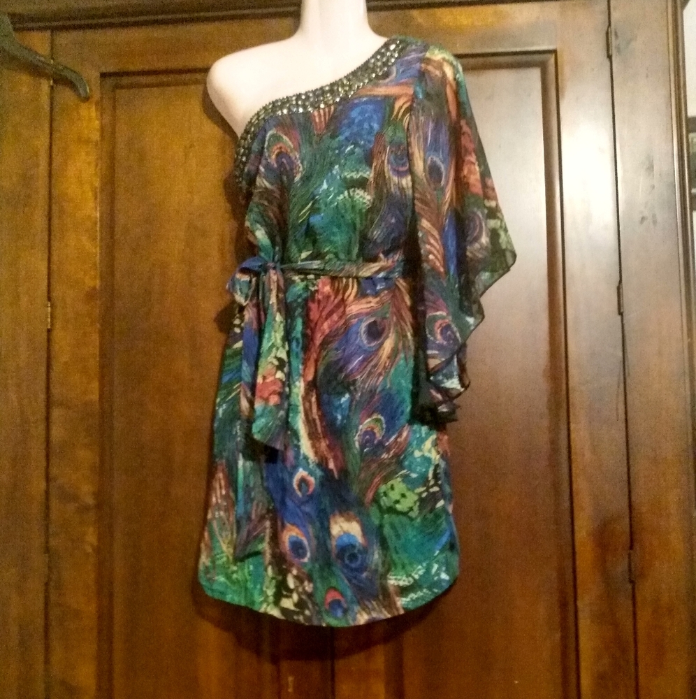 Bisou Bisou One Shoulder Batwing Dress